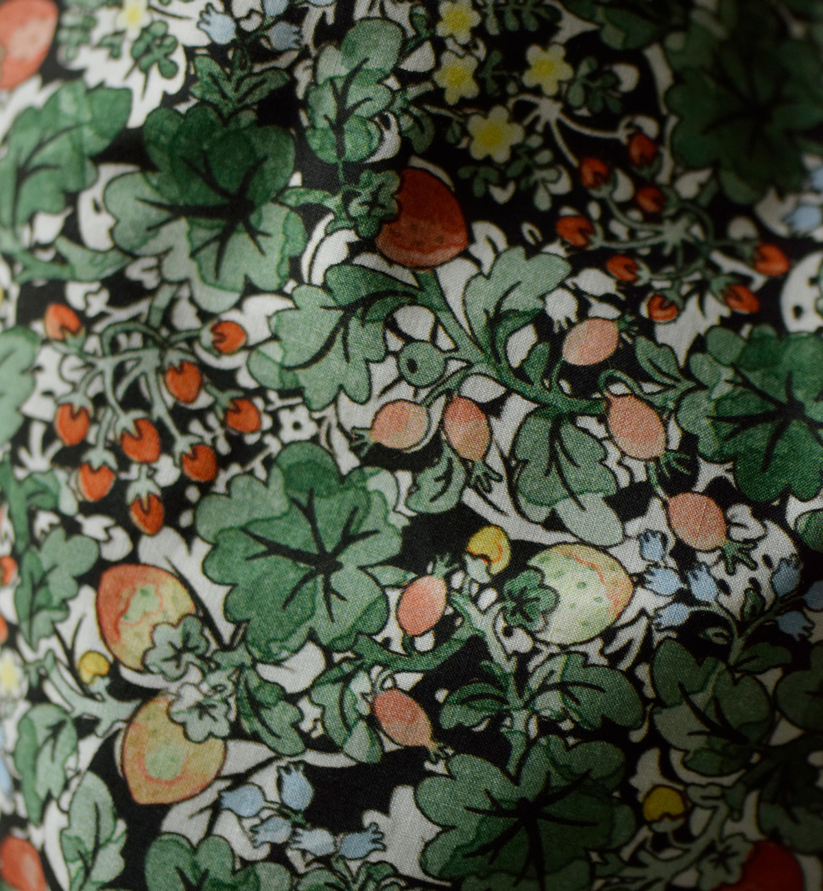 R & D.M.Co-(�I�[���h�}���Y�e�[���[)���C���h�x���[ �t�B�[���h ���[�� �M���U�[ �X�J�[�g WILD BERRY FIELD LAWN GATHER SKIRT 7876