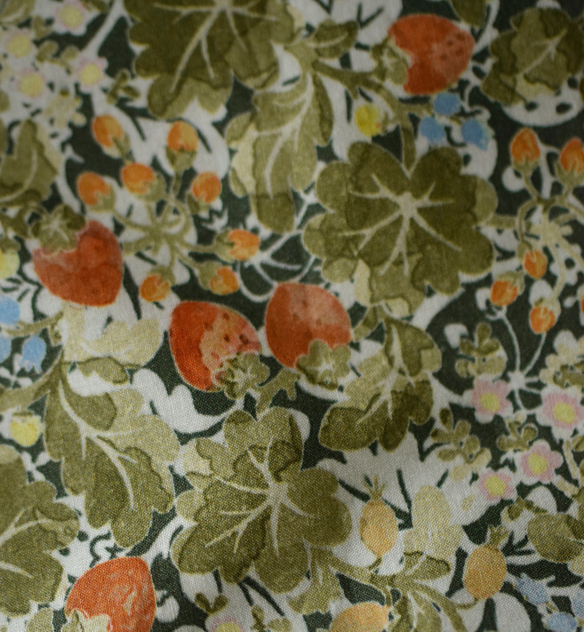 R & D.M.Co-(�I�[���h�}���Y�e�[���[)���C���h�x���[ �t�B�[���h ���[�� �M���U�[ �X�J�[�g WILD BERRY FIELD LAWN GATHER SKIRT 7876