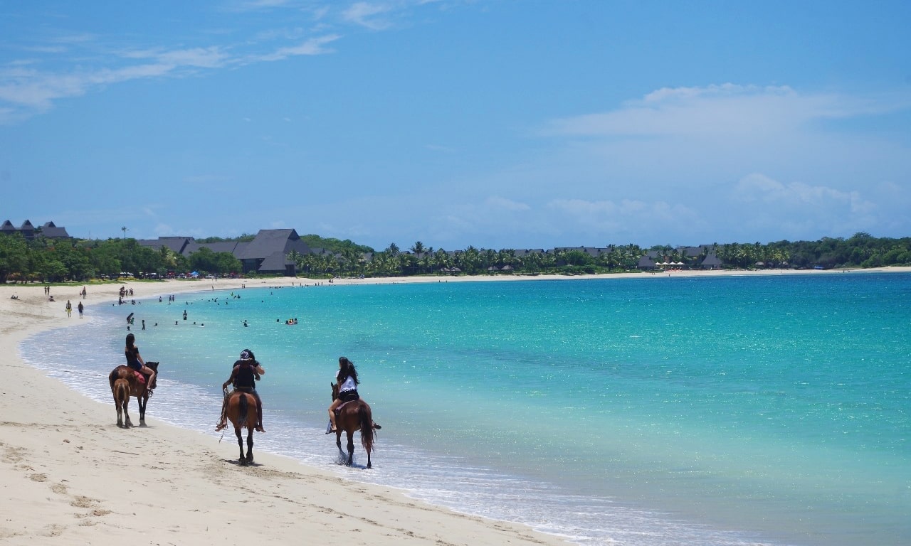 よみもの Piu Di Aranciato