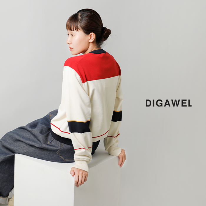 60%OFF】DIGAWEL ディガウェル 配色 カラースキーム セーター “Colour