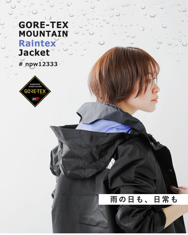 THE NORTH FACE ノースフェイス GORE-TEX マウンテン レインテックス 