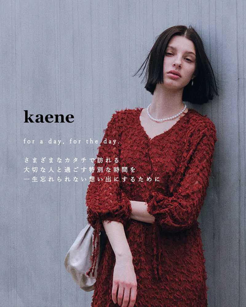 kaene(カエン)パターンレースロングスリーブブラウス010481o