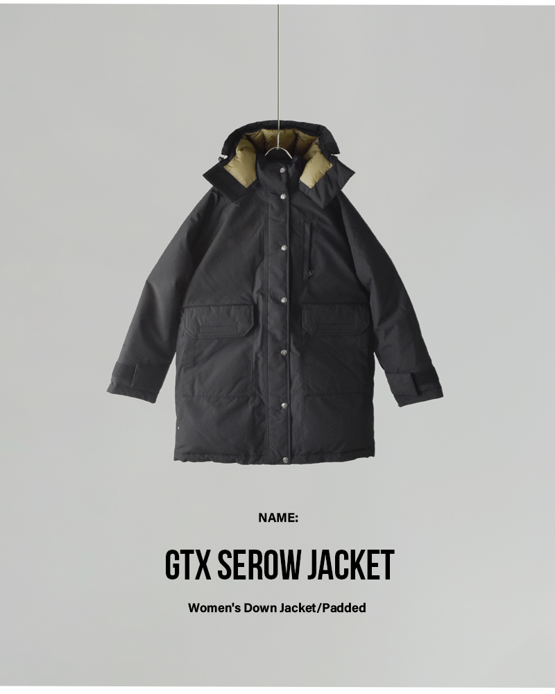 THE NORTH FACEジーティーエックス セロー ジャケット “GTX Serow Jacket” ndw92534