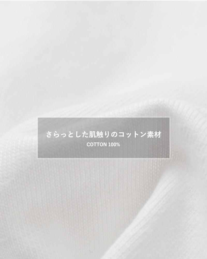 STAR&STRIPE(スターアンドストライプ)コットンプリントTシャツssdh2501-c