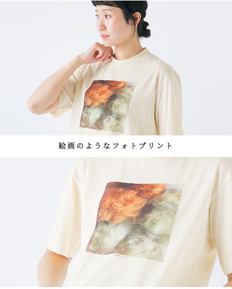 UNDYED(A_Ch)aranciatoʒI[KjbNRbgvgTVcg30PVS/SPtTeePHOTOBALLhuns25sst001g