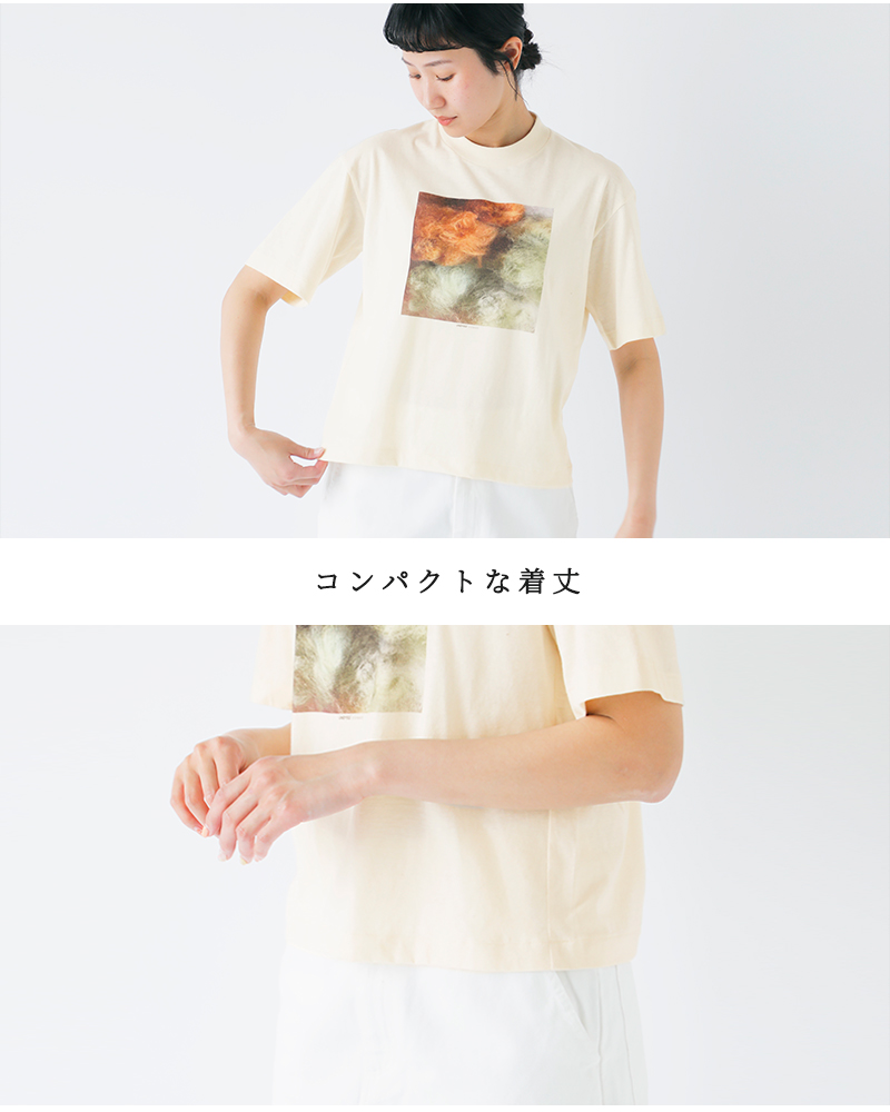 UNDYED(A_Ch)aranciatoʒI[KjbNRbgvgTVcg30PVS/SPtTeePHOTOBALLhuns25sst001g