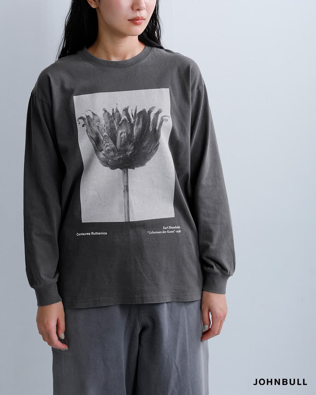 Johnbullコットン 長袖 Tシャツ Karl Blossfeldt Cucurbita / Centaurea Ruthenica LST jt263c07-09