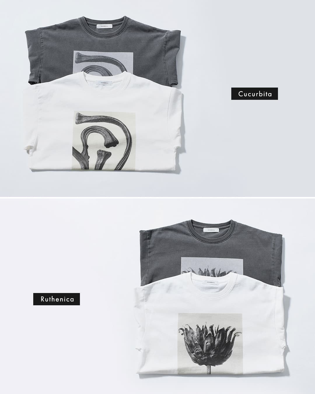 Johnbullコットン 長袖 Tシャツ Karl Blossfeldt Cucurbita / Centaurea Ruthenica LST jt263c07-09