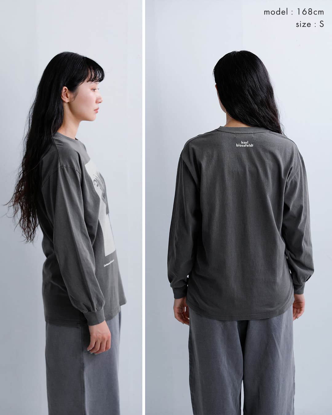 Johnbullコットン 長袖 Tシャツ Karl Blossfeldt Cucurbita / Centaurea Ruthenica LST jt263c07-09