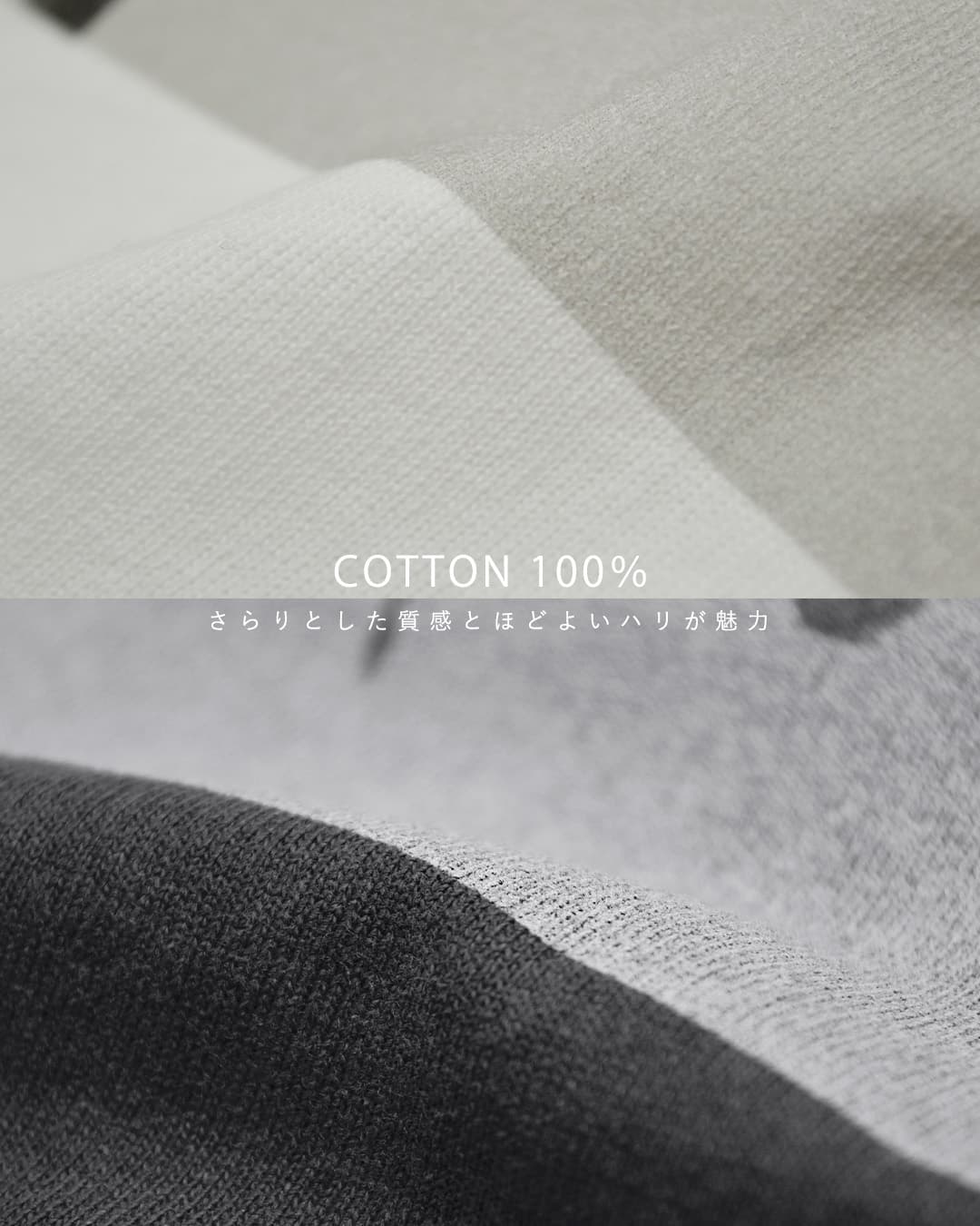 Johnbullコットン 長袖 Tシャツ Karl Blossfeldt Cucurbita / Centaurea Ruthenica LST jt263c07-09