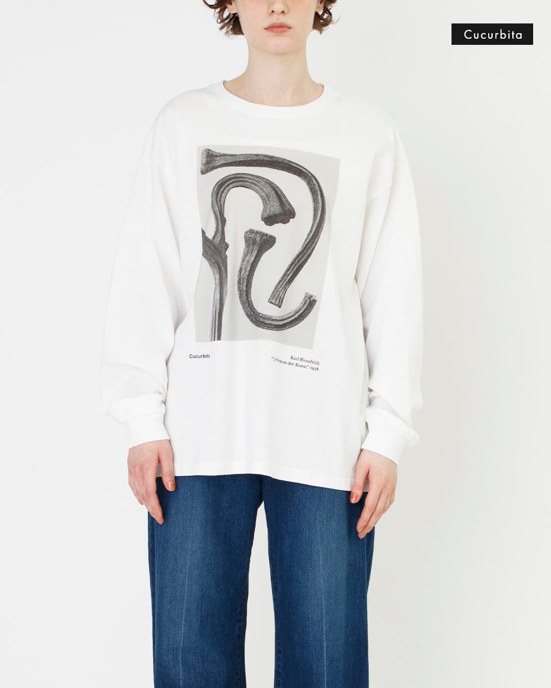 Johnbullコットン 長袖 Tシャツ Karl Blossfeldt Cucurbita / Centaurea Ruthenica LST jt263c07-09