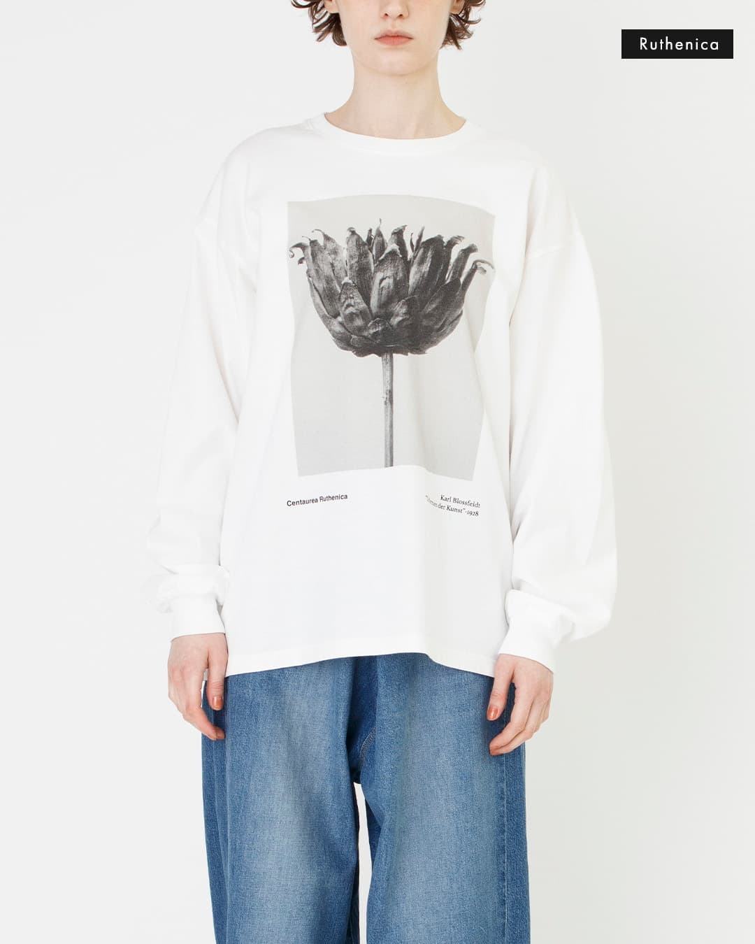 Johnbullコットン 長袖 Tシャツ Karl Blossfeldt Cucurbita / Centaurea Ruthenica LST jt263c07-09