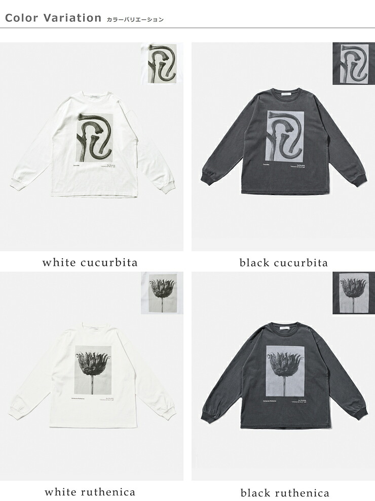 Johnbullコットン 長袖 Tシャツ Karl Blossfeldt Cucurbita / Centaurea Ruthenica LST jt263c07-09