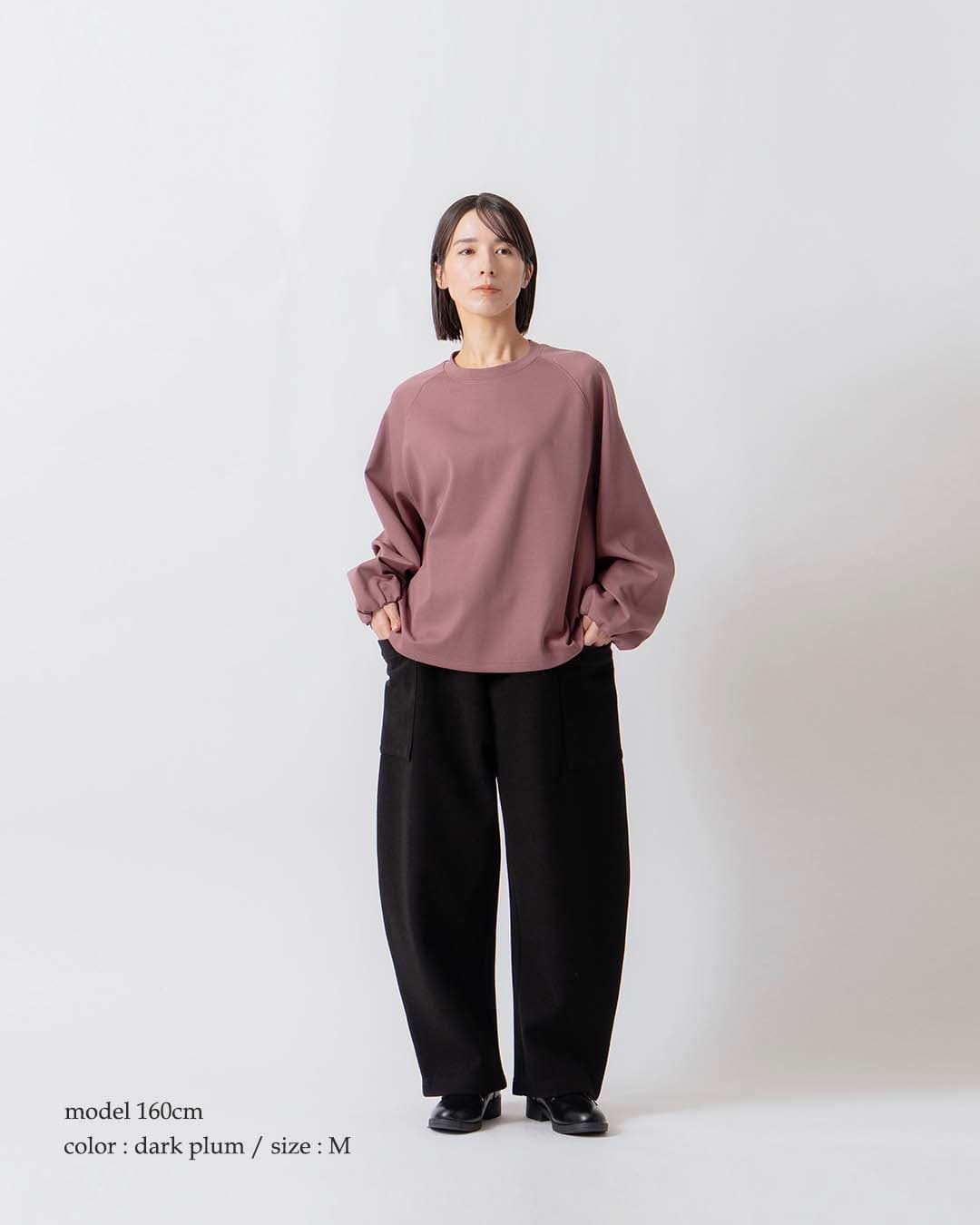 KELEN(ケレン)ラグランスリーブ タックデザイン ポンチ カットソー AMILI lkl26fcs2038