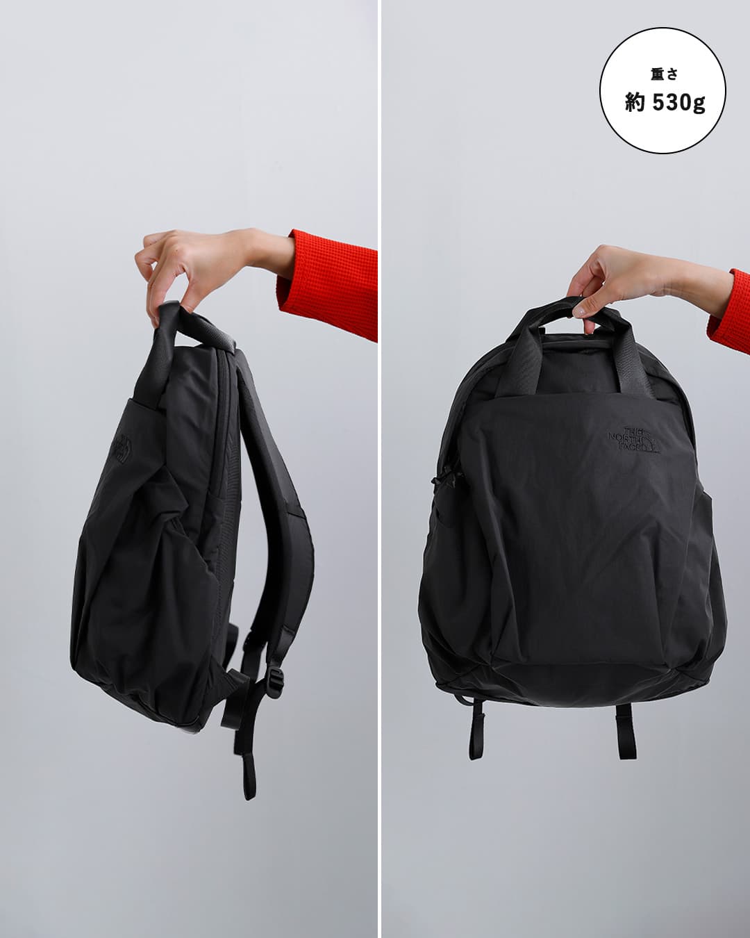 THE NORTH FACEフィーカス パック リュックサック 19L Ficus Pack nmw62650