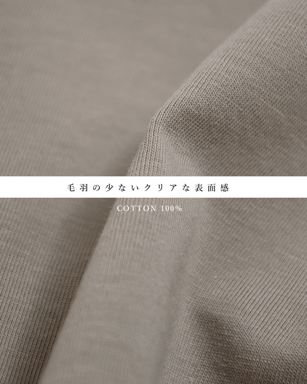 HAVERSACK ATTIREコットンプレミアム天竺 フレンチスリーブシャツ 612606
