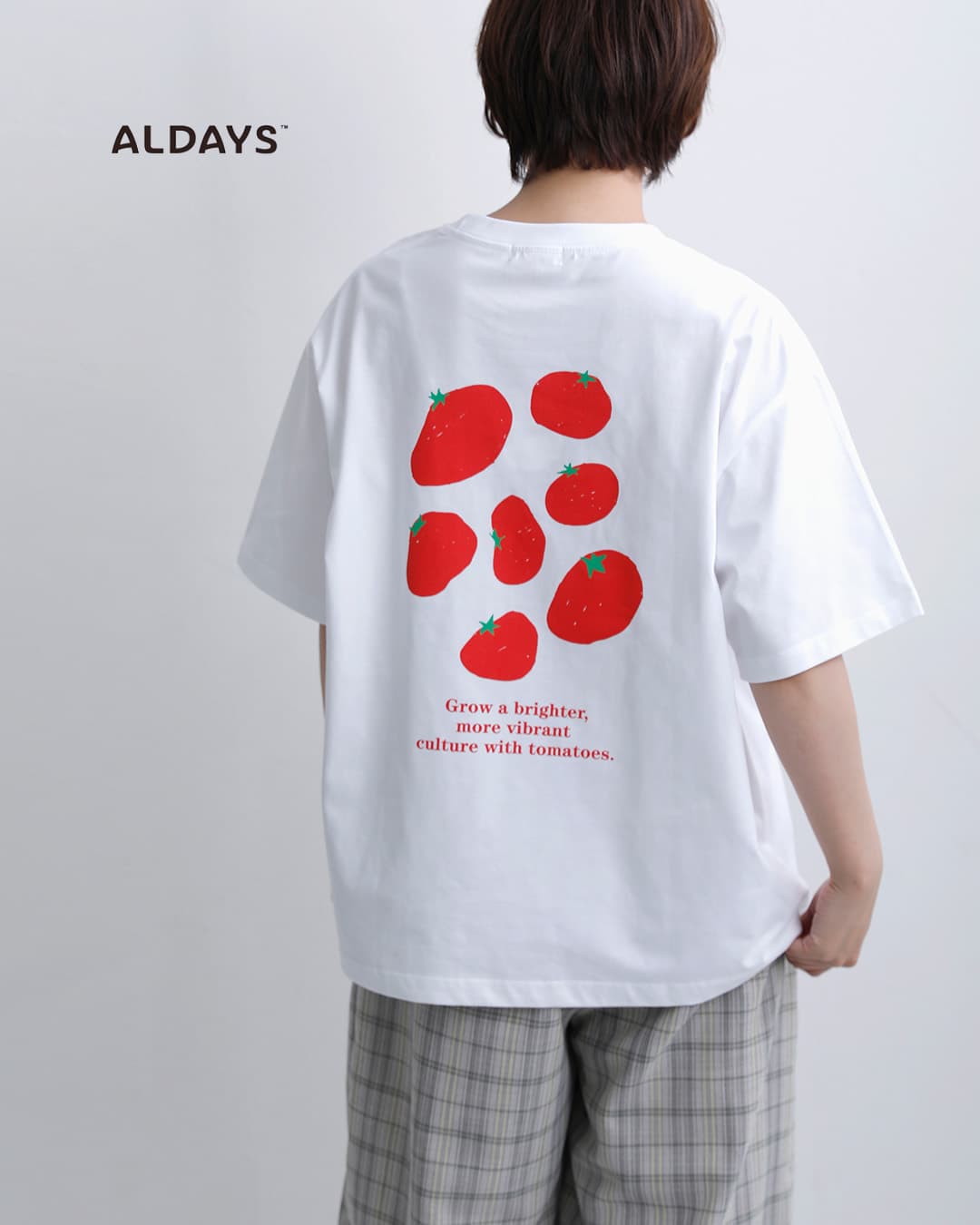 NEW]【ゆうパケット選択可】ALDAYS オルデイズ コットン ボックス