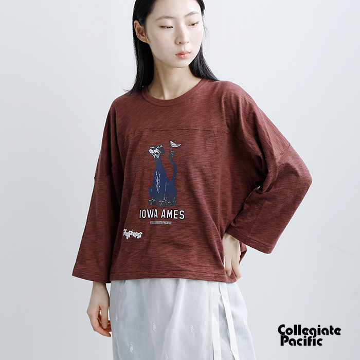 Collegiate Pacific(カレッジエイトパシフィック)コットンクロップドフットボールTシャツcp-26s-012