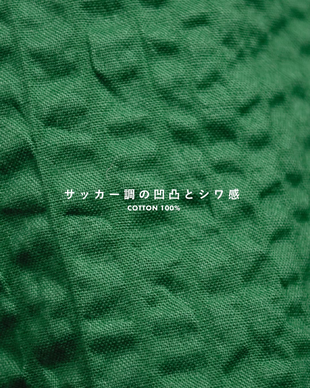 DANTONコットン プルオーバー 半袖シャツ dt-b0439ukk