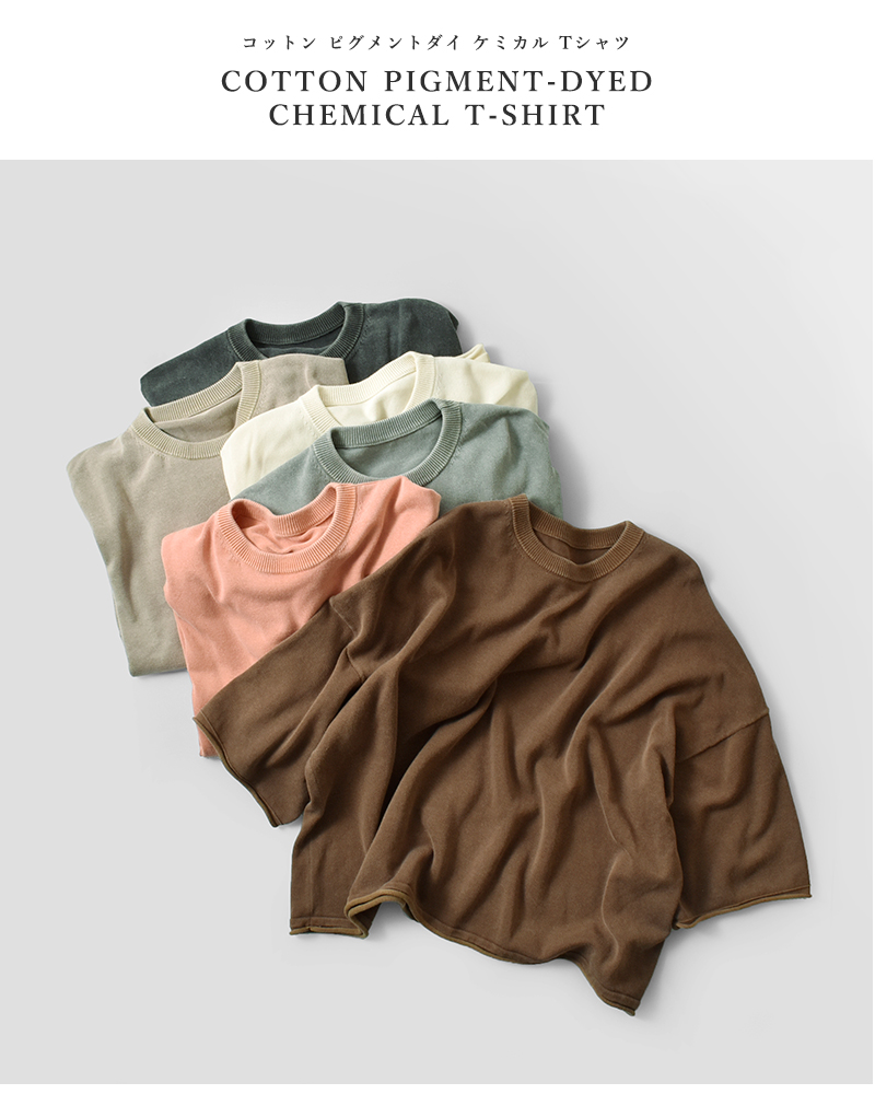 Johnbull(ジョンブル)ドライコットンピグメントニットTシャツjl261n02