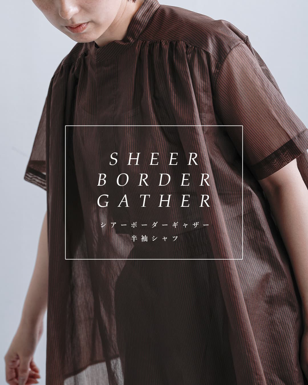 Le Glazikシアーボーダー ギャザー 半袖シャツ lg-b0381bos-sbb