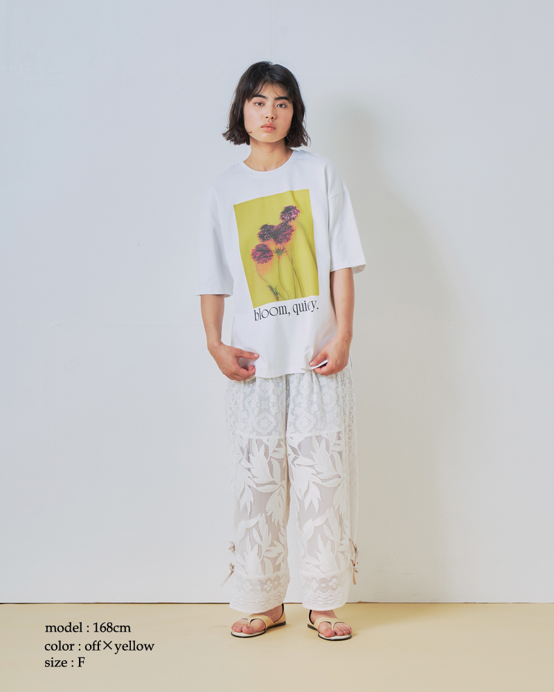 whyto(�z���C�g)�R�b�g��2way�t�H�g�v�����gT�V���c�g2wayprinttee�hwht26hcs4015