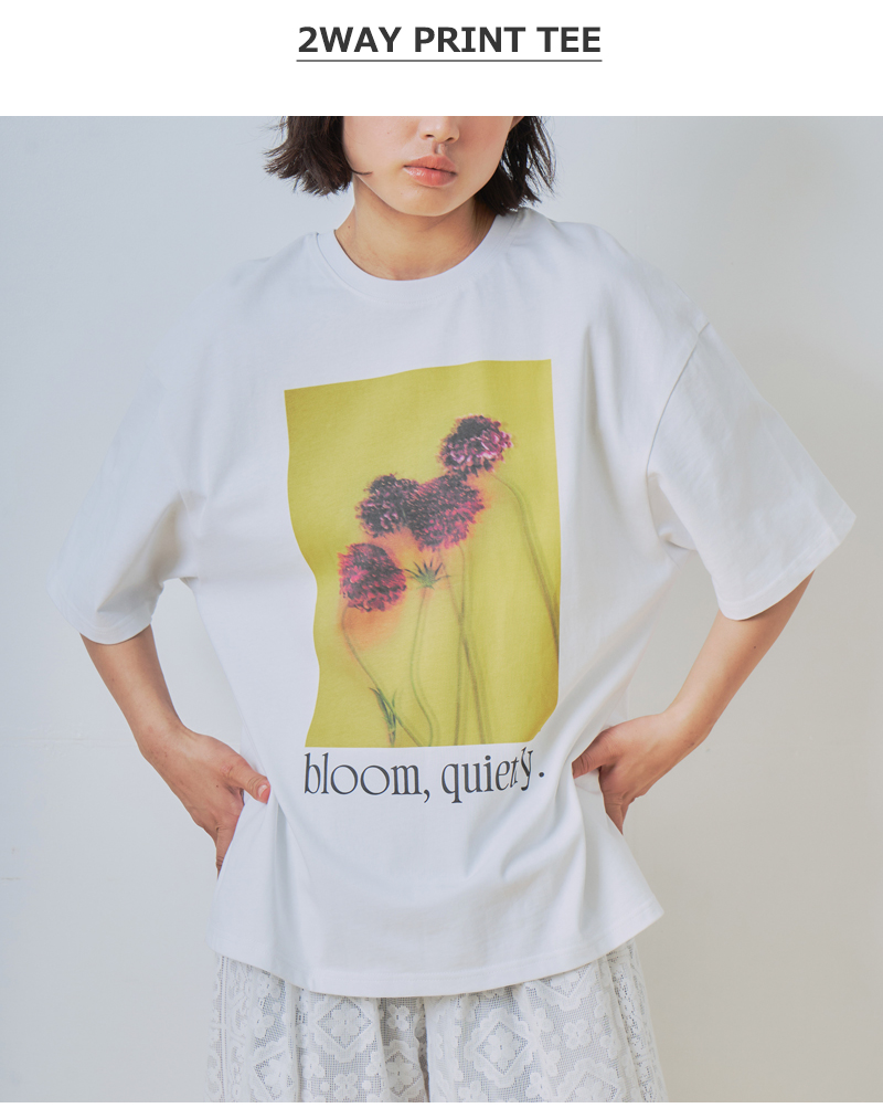 whyto(�z���C�g)�R�b�g��2way�t�H�g�v�����gT�V���c�g2wayprinttee�hwht26hcs4015