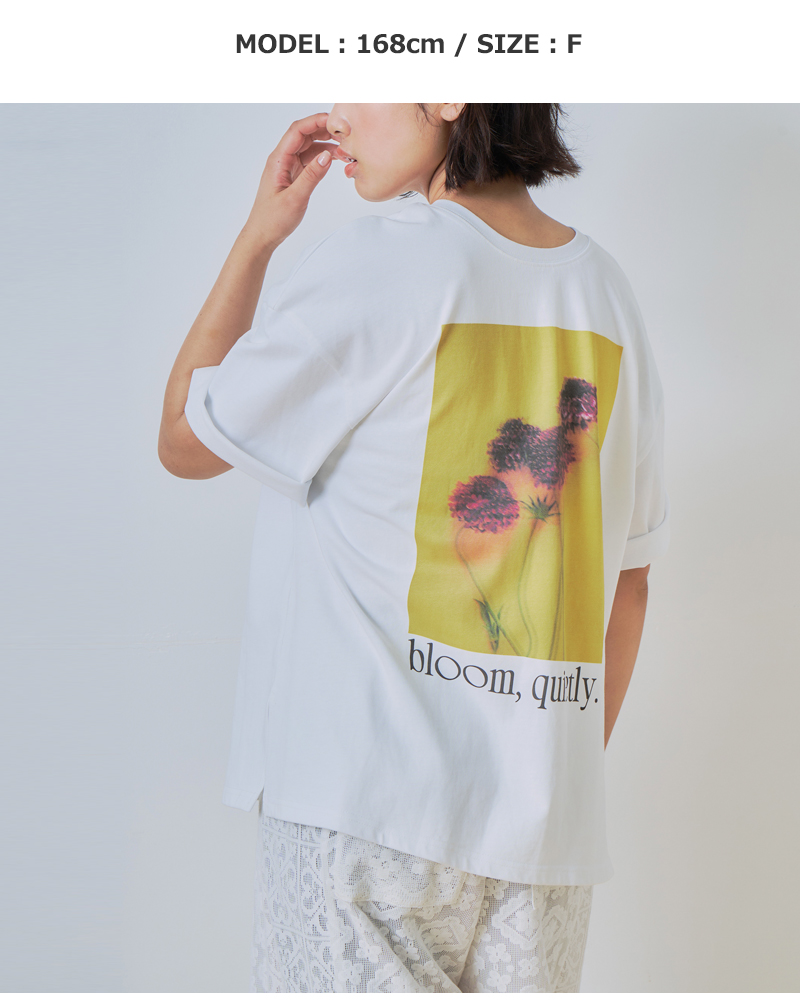 whyto(�z���C�g)�R�b�g��2way�t�H�g�v�����gT�V���c�g2wayprinttee�hwht26hcs4015